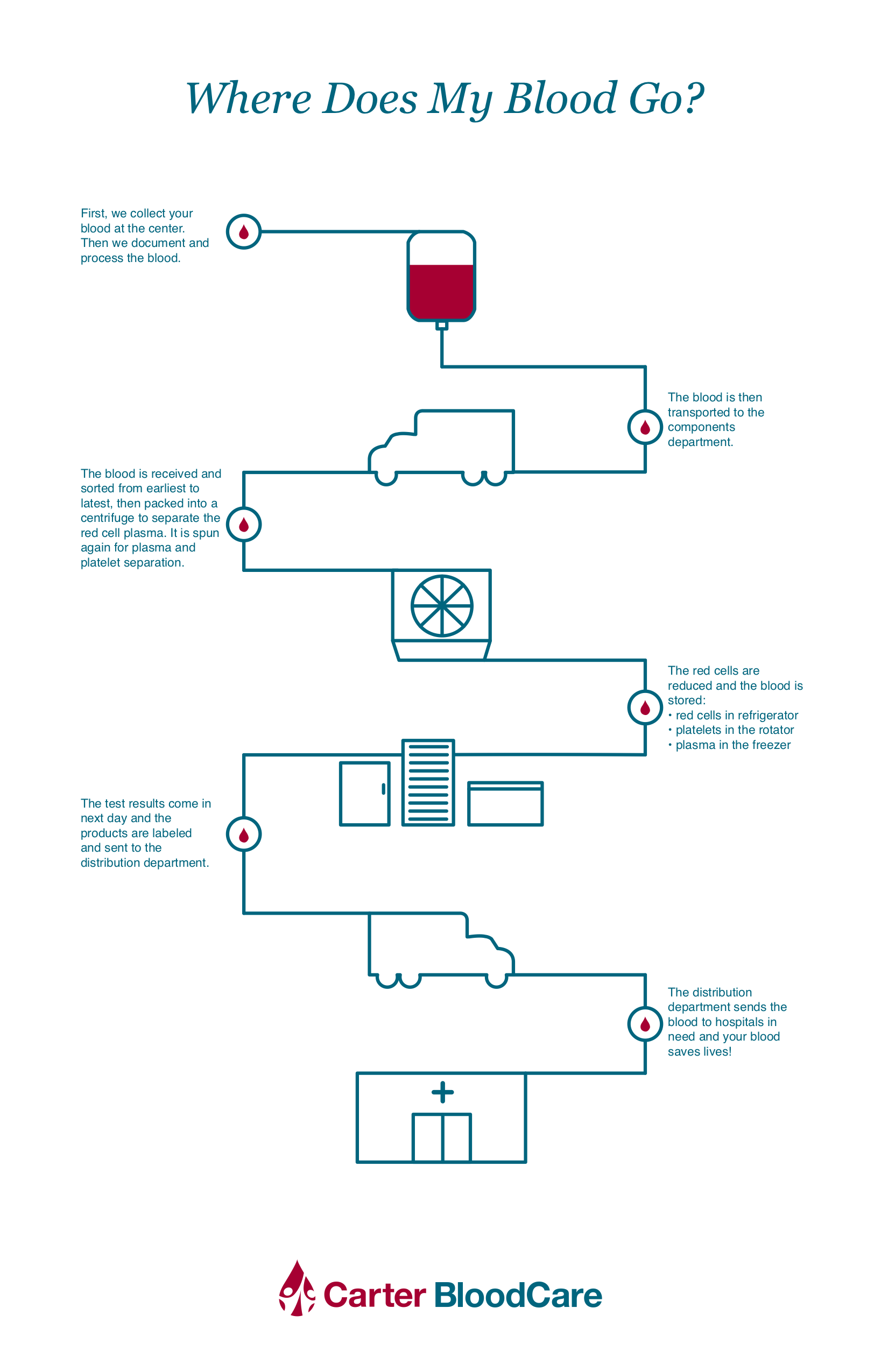 Where does my blood go carter bloodcare