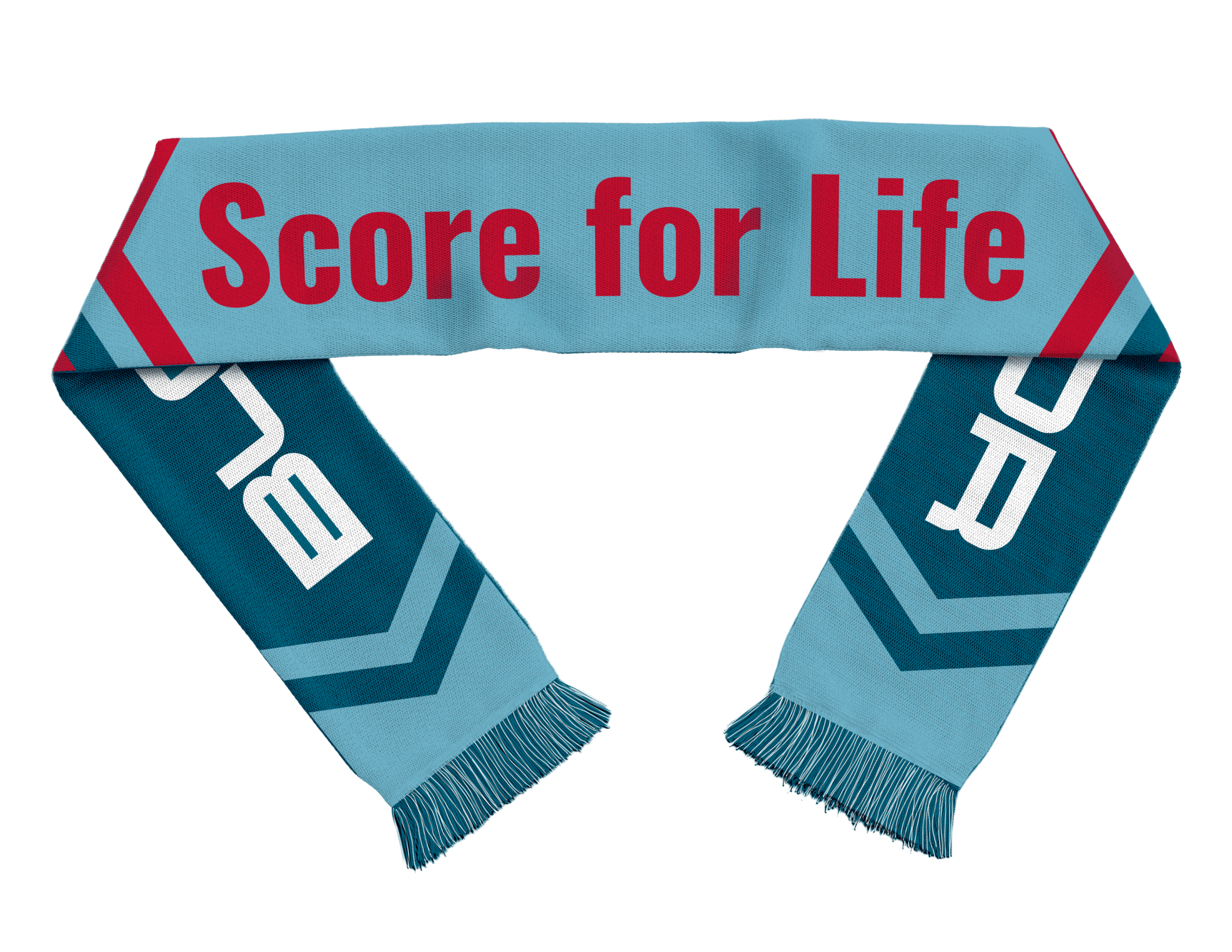 World Cup Scarf_image