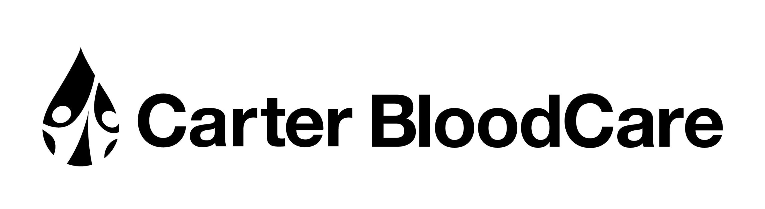 Primary Logo – Black
