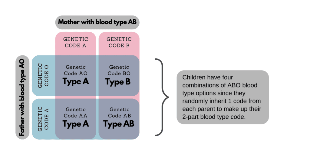 Blood type determined ABO example